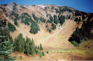 Approaching Cheam Peak via Forestry Road 2003-09.