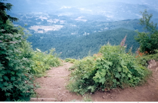 Looking back down trail up to Elk Mountain 2004-07.