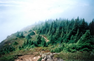 On trail to Mt Thurston, looking back towards Elk Mountain 2003-08.