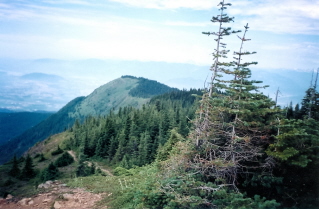 Trail to Mt Thurston, looking back to Elk Mountain 2004-07.