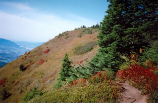 Looking back along trail to Mount Thurston 2006-10.