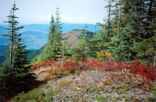 Looking back along trail to Mount Thurston 2006-10.