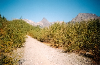 Further up the logging road, Cheam Peak and Lady Bird in the distance, trail to Mount Laughington 2003-10.