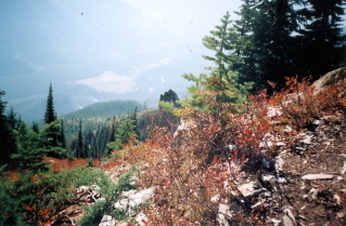 View of Chilliwack River Valley from crest, trail to Mount Laughington 2003-10.