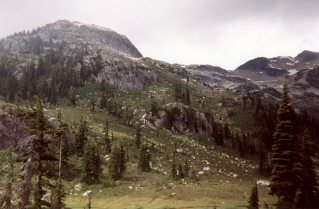 Peaks on other side of Brandywine Meadows 1995-08