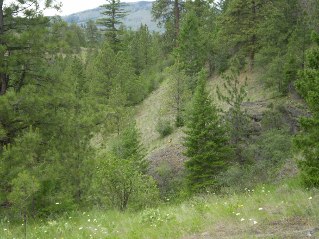 Climbing up the slope, deer watching from below, Mahoney Lake to Hawthorne Mountain, 2011-06.