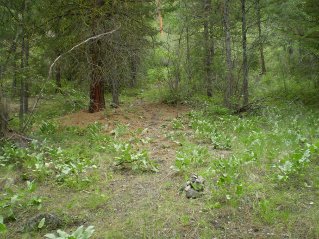 Small pile of stones mark where trail turns north and starts climbing, Mahoney Lake to Hawthorne Mountain, 2011-06.