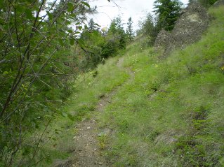 Some distance up the trail from the flat area, Mahoney Lake to Hawthorne Mountain, 2011-06.