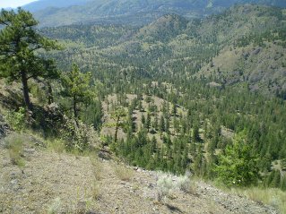 View to the southwest from start of long ridge, Mahoney Lake to Hawthorne Mountain, 2011-06.