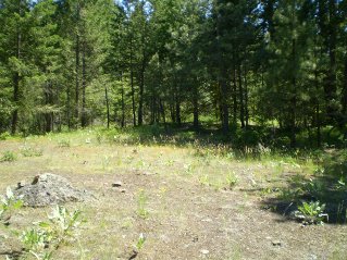 Returning, trail is found on other side of clearing, Mahoney Lake to Hawthorne Mountain, 2011-06.