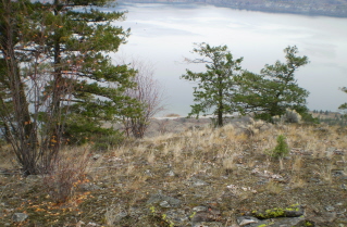Another view from the top of the a ridge, Mt Nkwala trail 2009-10.