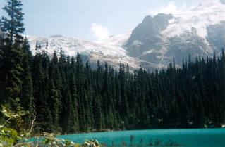 Matier Glacier visible in the distance, Joffre Trail 1998-08.