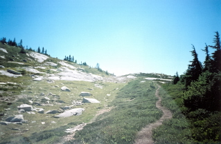 Crossing alpine meadows, Needle Point Trail 2001-08.