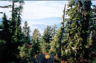 View of Howe Sound part way up the Binkert (Lions) Trail 2003-10.