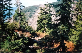 View from near the exit onto the open ridge, Binkert (Lions) Trail 2003-10.